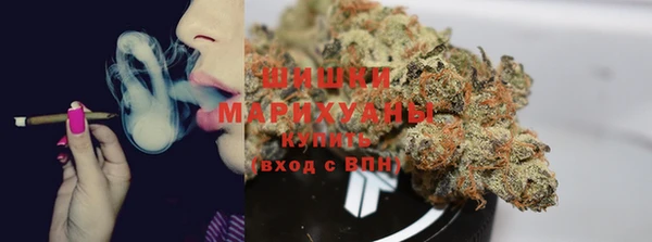 PSILOCYBIN Богданович