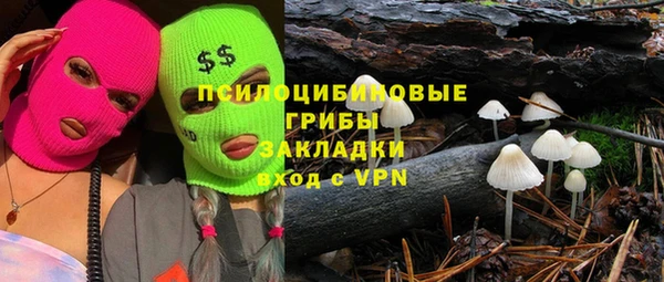 первитин Богородск