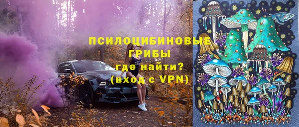 стафф Белокуриха